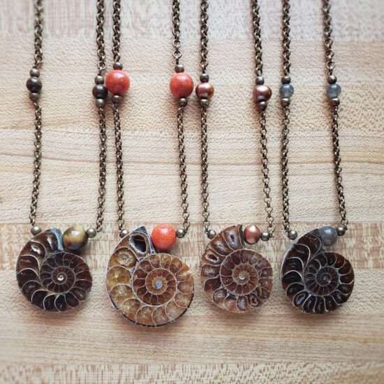 ammonite fossil necklace