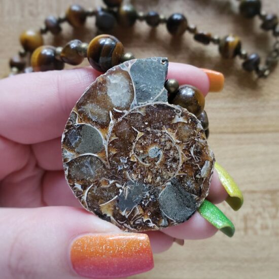 ammonite and tiger’s eye necklace (18″)